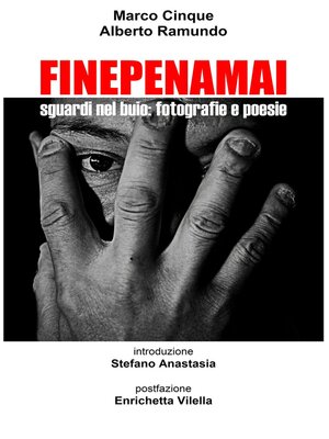 cover image of FinePenaMai